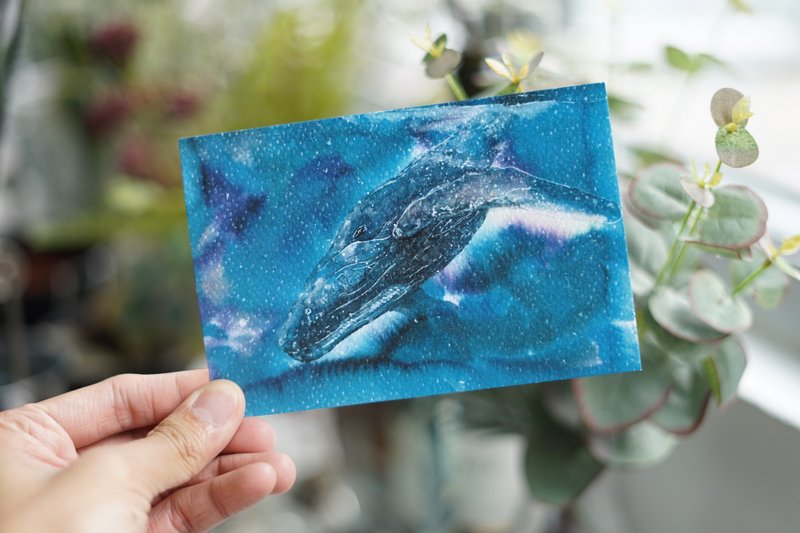 明信片 PC-AN-013 鯨魚