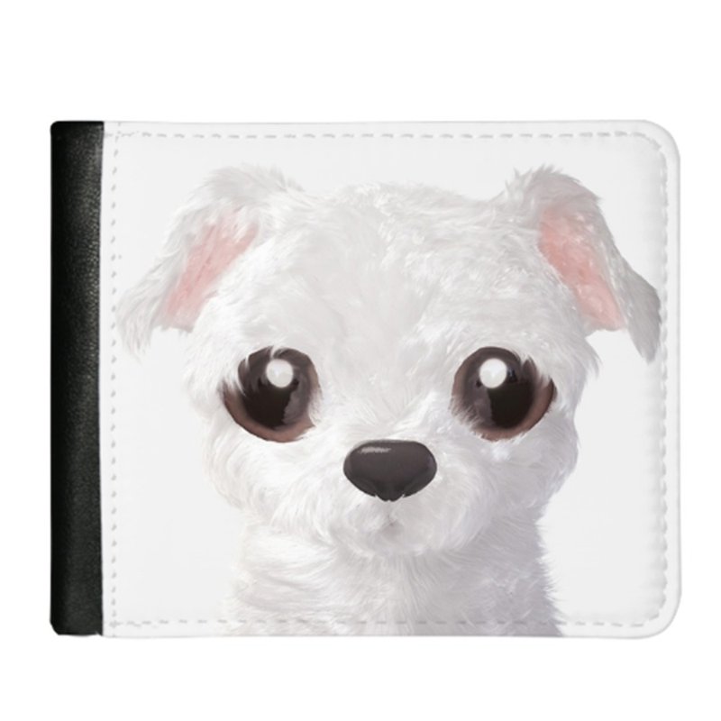 Wallet AS2303