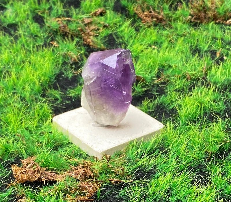 能量擺飾-天然冰透夢幻紫晶骨幹 紫水晶 招財 智慧 開運 快速出貨 - 擺飾/家飾品 - 水晶 紫色