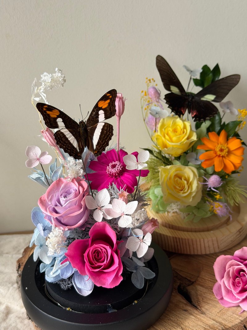 春庭永生玫瑰 蝴蝶玻璃盅 -榮退禮/情人節/訂婚/紀念/入厝/生日 - 乾燥花/永生花 - 植物.花 多色