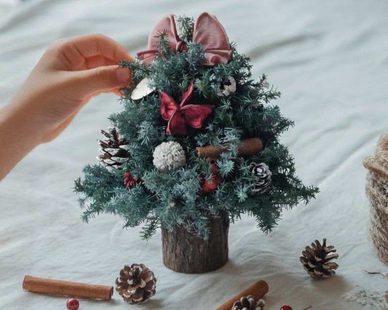 聖誕小樹材料包 - 乾燥花/永生花 - 植物.花 綠色