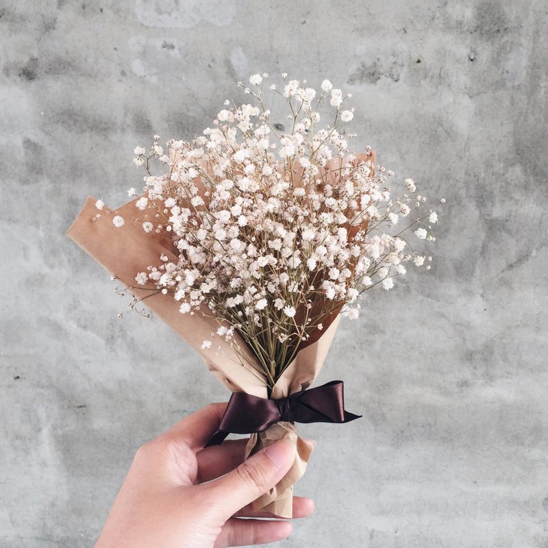 Gypsophila dry bouquet