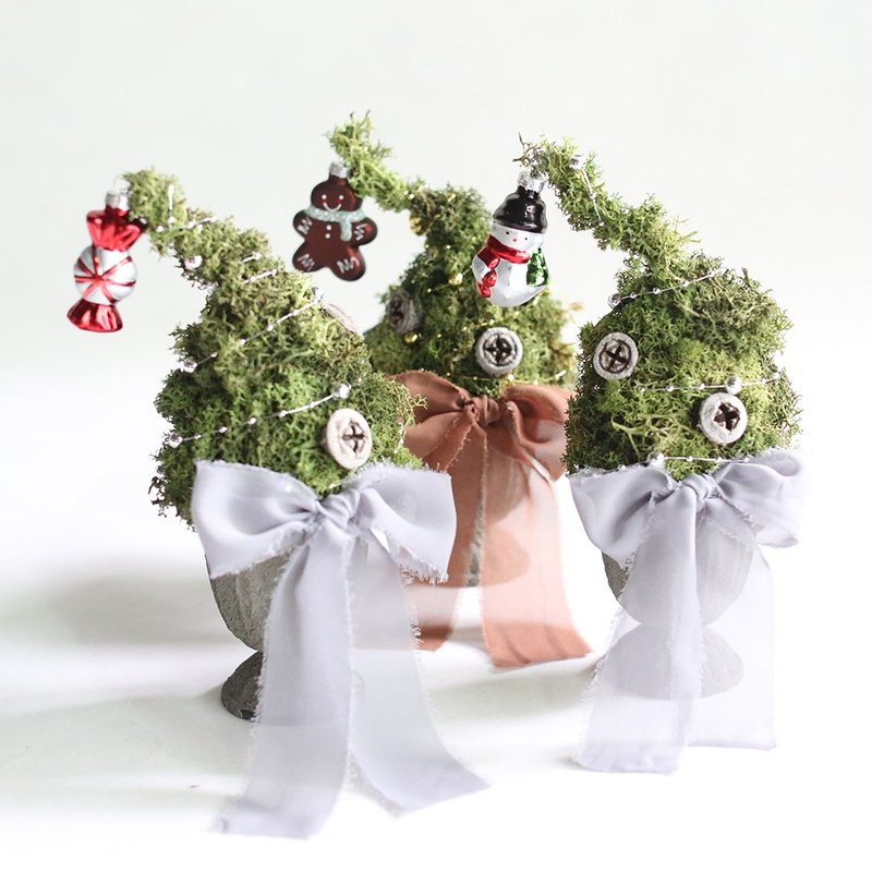 鈕扣 聖代 - 盆栽/植栽 - 植物.花 多色