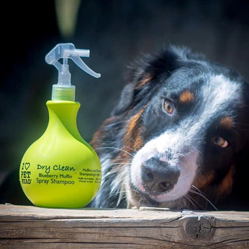 【狗狗乾洗澡】懶人犬 乾式洗毛/洗髮噴霧450ml