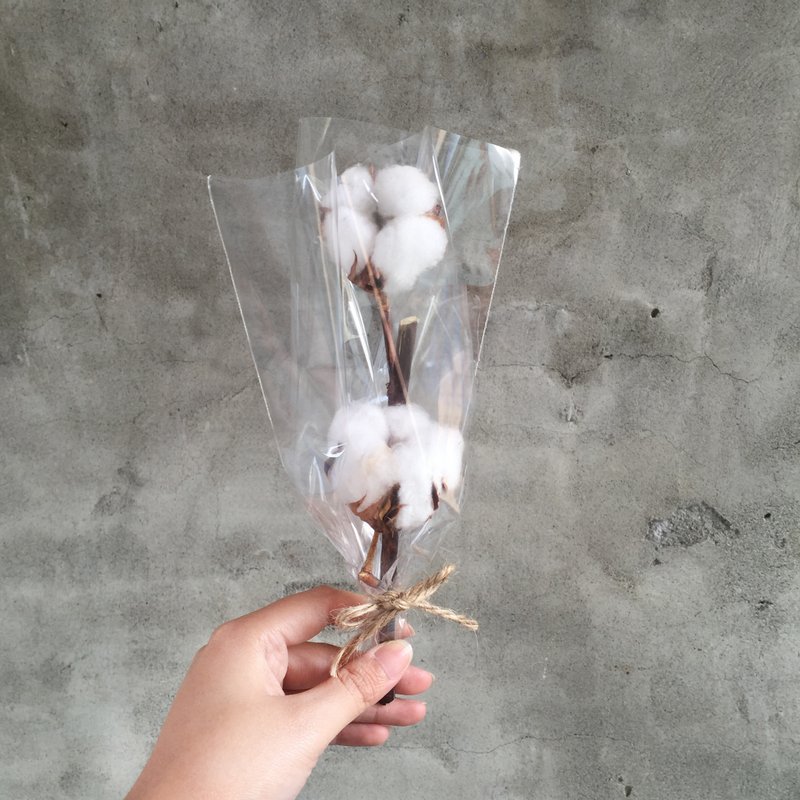 Dry cotton flower