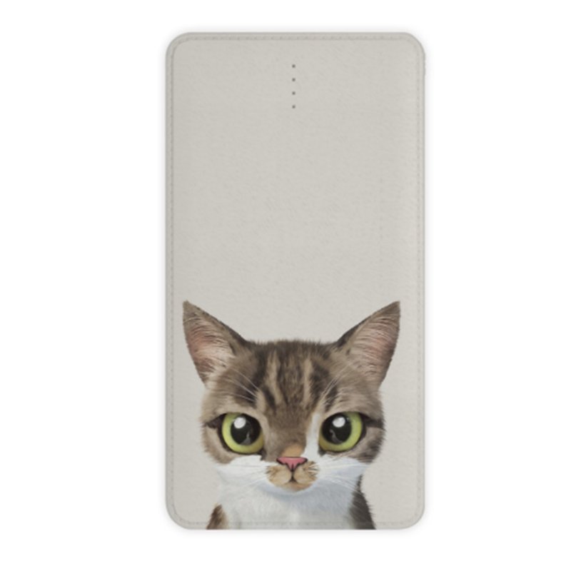 Imitation Leather Power Bank