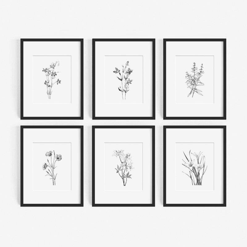 sketch botanical prints, 6 customizable posters bedroom bathroom dining room