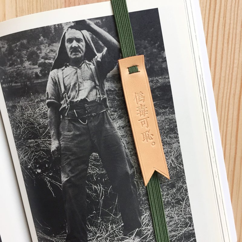 Original Handmade Bookmark Strap with selected text / quotes- Shame on fake nerd