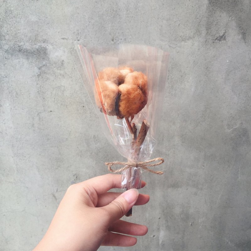 Egyptian cotton and cotton dry flowers