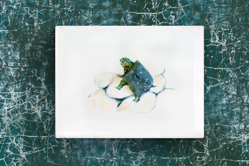Stone Art Brazilian Tortoise