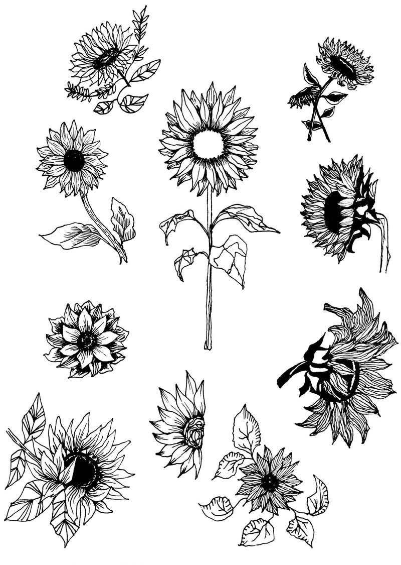 Transparent sticker
