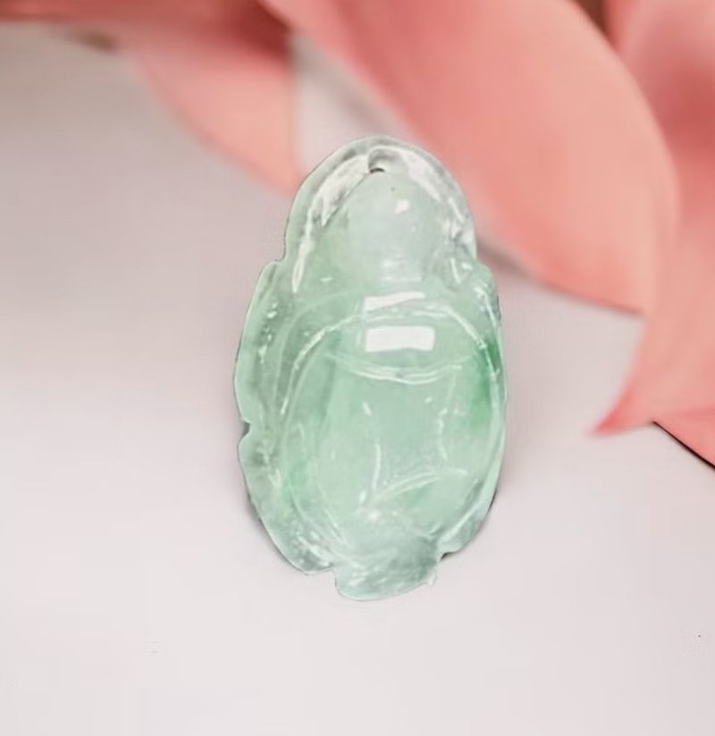 【吉祥‧長壽】冰種飄綠花翡翠金錢龜 | 天然緬甸玉翡翠A貨 |送禮 - 項鍊 - 玉石 多色