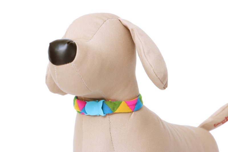 Multicolour pet collar