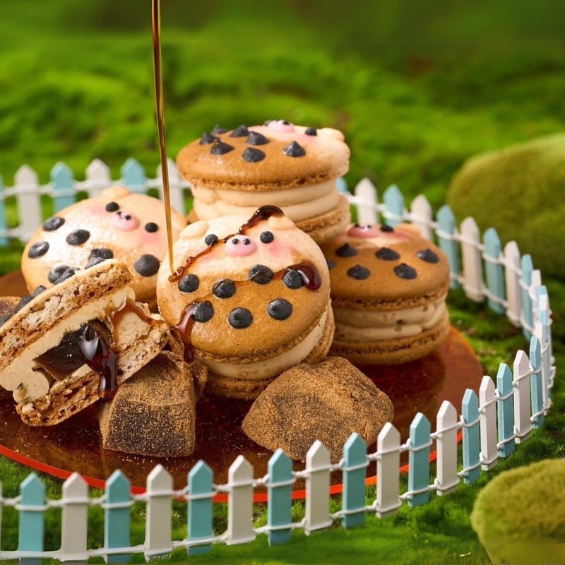 Thick stuffed macaron - Zhen pig