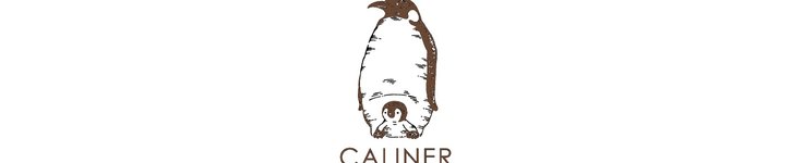 From Japan - caliner