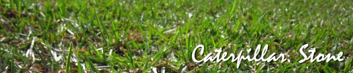 แบรนด์ดีไซเนอร์ไต้หวัน - caterpillar-stone
