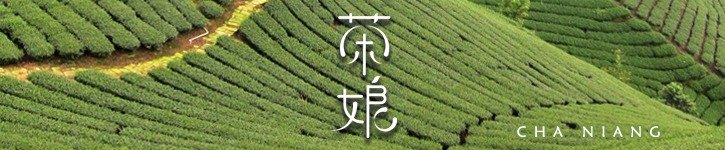 台湾 デザイナー - chaniang