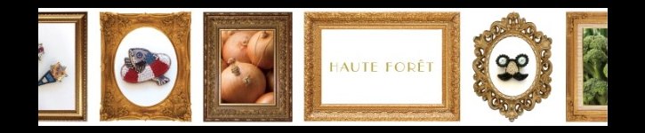 แบรนด์ดีไซเนอร์ญี่ปุ่น - hauteforet