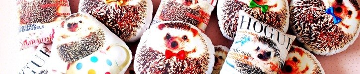 英國設計師品牌 - All About Harry the Hedgehog