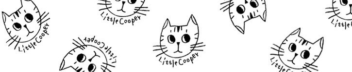 แบรนด์ดีไซเนอร์ไต้หวัน - littlecooper