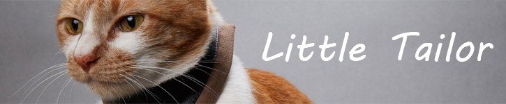 台湾 デザイナー - littletailor