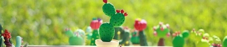 แบรนด์ดีไซเนอร์ไต้หวัน - nunusgarden
