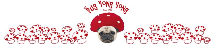 แบรนด์ดีไซเนอร์ไต้หวัน - PUG YONG YONG