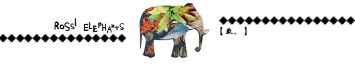 From mainland China - rossielephants
