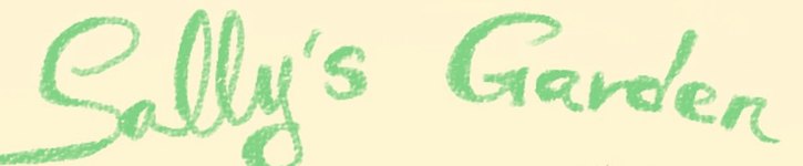 แบรนด์ดีไซเนอร์ไต้หวัน - Sally's Garden