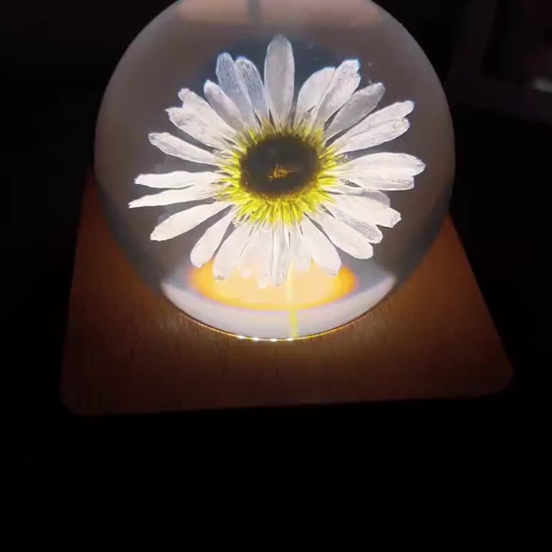 雛菊微光|手作樹脂小夜燈 - 擺飾/家飾品 - 樹脂 白色