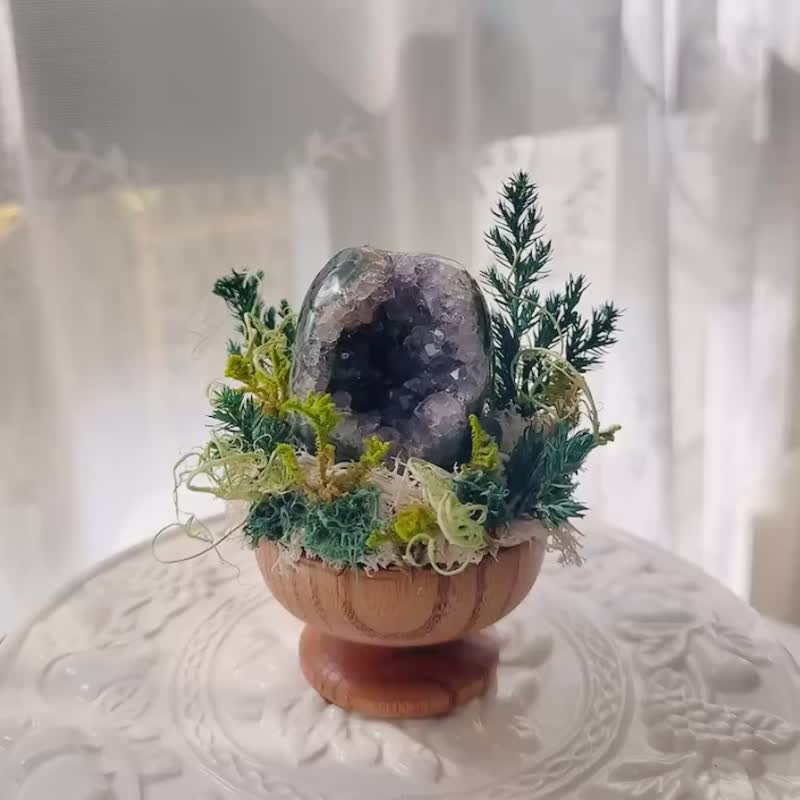紫水晶 晶鎮 窩窩 迷你小財庫。 微景觀永生葉材 綠植栽 - 盆栽/植栽 - 水晶 紫色