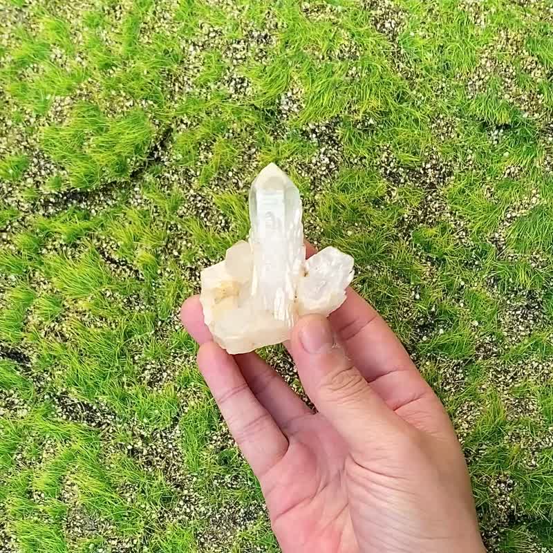 天然原礦菠蘿側芽白水晶簇 白水晶能量柱 消磁淨化 快速出貨 - 擺飾/家飾品 - 水晶 白色