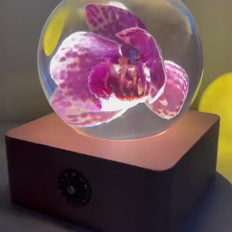 紫緋斑點蘭|米奇蝴蝶蘭水晶球夜燈 - 擺飾/家飾品 - 樹脂 紫色