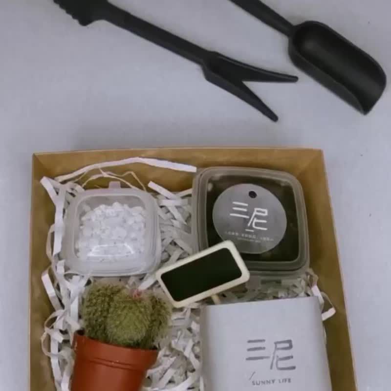 【DIY材料包】多肉植物水泥盆DIY禮盒 / 交換禮物 / 聖誕禮物 - 花藝/盆栽/植栽 - 水泥 多色