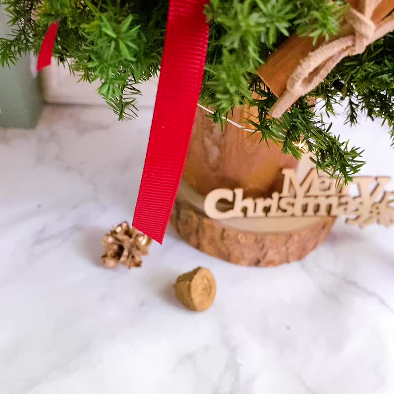 日本 永生雪松 聖誕樹 豐收璀璨金 交換禮物 聖誕禮盒 聖誕節 - 乾燥花/永生花 - 植物.花 綠色