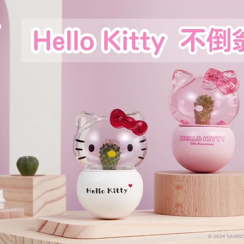 Hello Kitty不倒翁盆栽 經典款 桌上盆栽 療癒盆栽 - 植栽/盆栽 - 木頭 透明