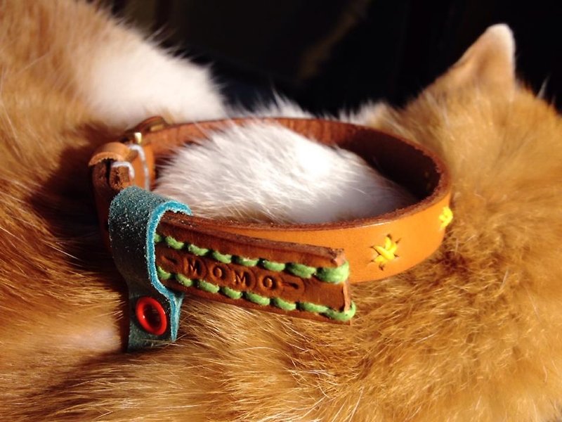 Mao collar children - hand-dyed hand-stitched leather custom size (S) - Collars & Leashes - Genuine Leather Gold