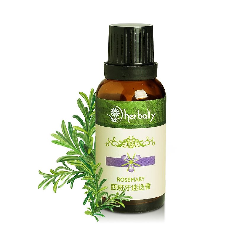 [Herbal True Feelings] Spanish Rosemary (Single Essential Oil 30ml) (P3971934) - น้ำหอม - พืช/ดอกไม้ สีเขียว