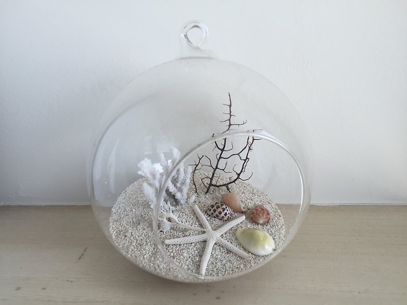 純自然 海洋 diy組 玻璃球 貝殼 飾品 送禮 療癒 小物 diy ocean - 其他 - 其他材質 白色