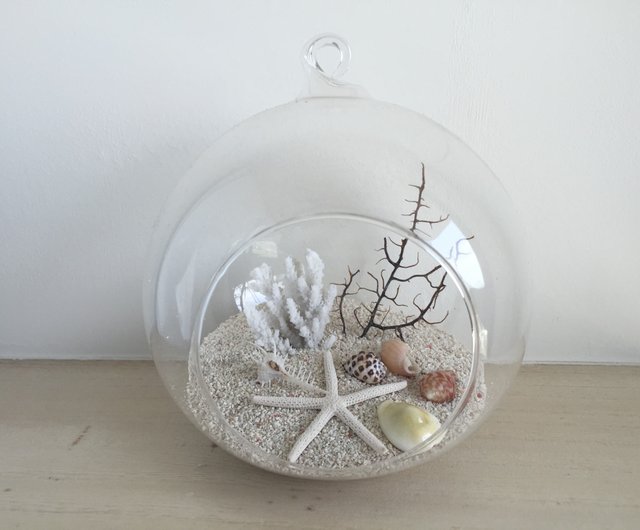 Natural Sea Shells, Starfish & Sea Glass for DIY UK