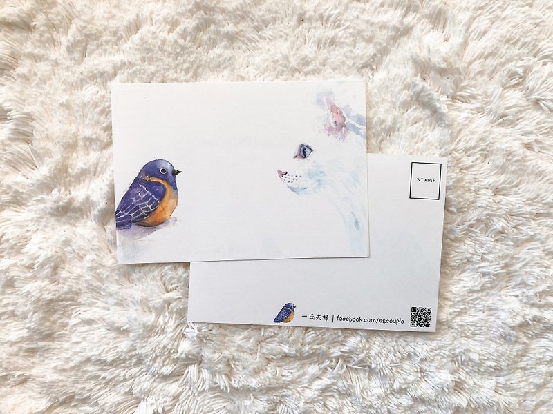 動物 明信片 貓與鳥 - 卡片/明信片 - 紙 白色