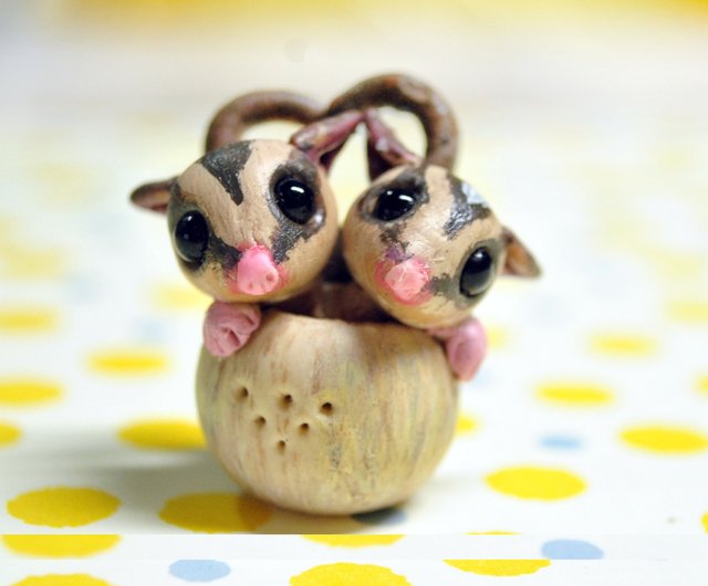 Pin by Autumn Clay on Sugar Gliders