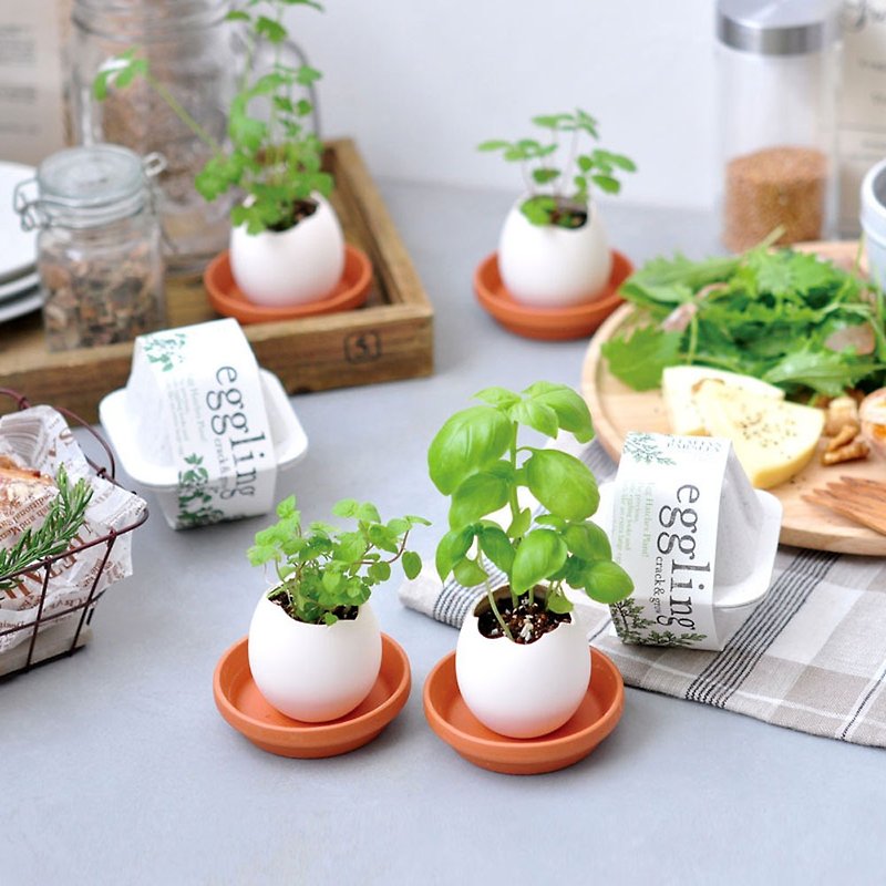 紙 植栽/盆栽 白色 - 【熱門禮物】環保友善包裝 Eco eggling植物栽培蛋