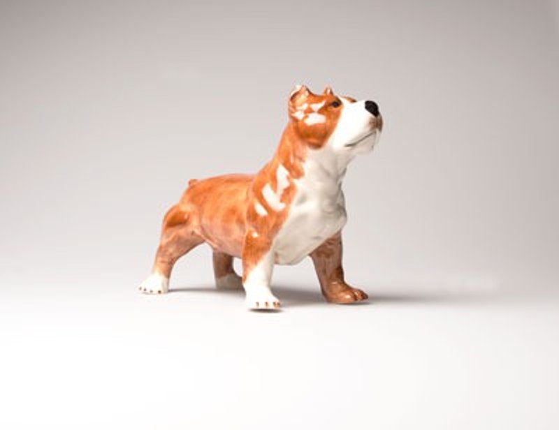 SUSS- British high texture cute bulldog / pitbull / bulldog modeling piggy banks to spot --- Free transport - กระปุกออมสิน - วัสดุอื่นๆ สีนำ้ตาล