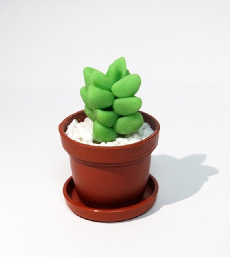 擬真多肉植物小盆栽-紀之川 - 擺飾/家飾品 - 黏土 