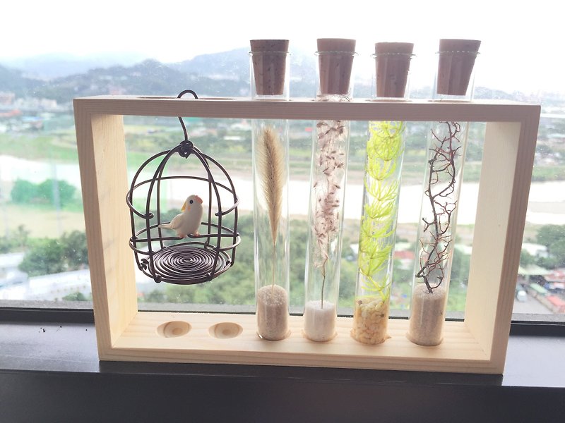 Pure natural bottle four seasons test tube dry flower bird cage parrot long wooden frame potted plant - ตกแต่งต้นไม้ - พืช/ดอกไม้ หลากหลายสี