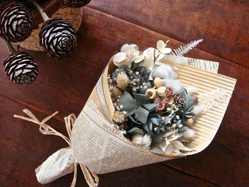 Immortalized & dried flower hydrangea cotton fruit bouquet gift outdoor photo props - Plants - Plants & Flowers 