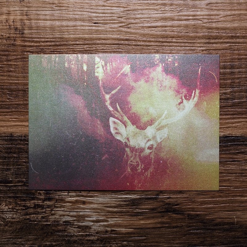 【Photo Postcard #13】Photo Postcard | TH1RT3ENDREAMS - Photography Collections - Paper Multicolor