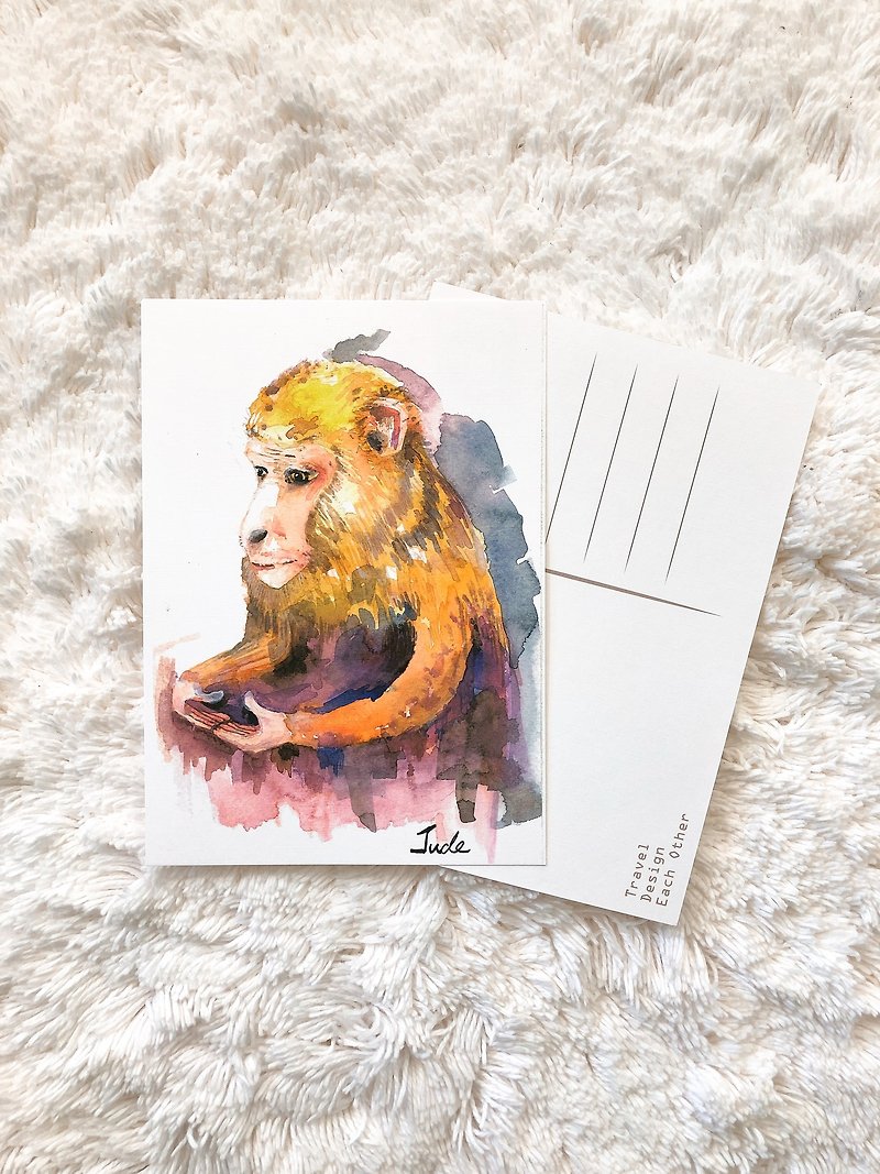 動物 明信片 冷靜的　猴子 - 卡片/明信片 - 紙 橘色