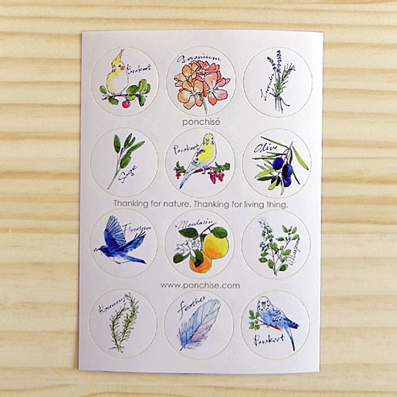 Birds and herbs of stickers - Stickers - Paper White